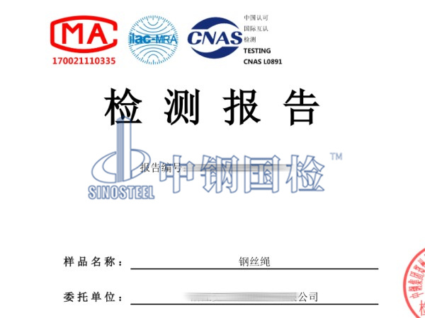 鋼絲繩檢測報告圖