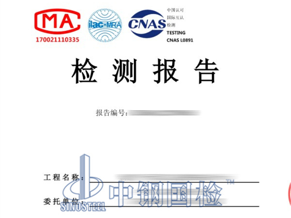 管樁檢測(cè)報(bào)告